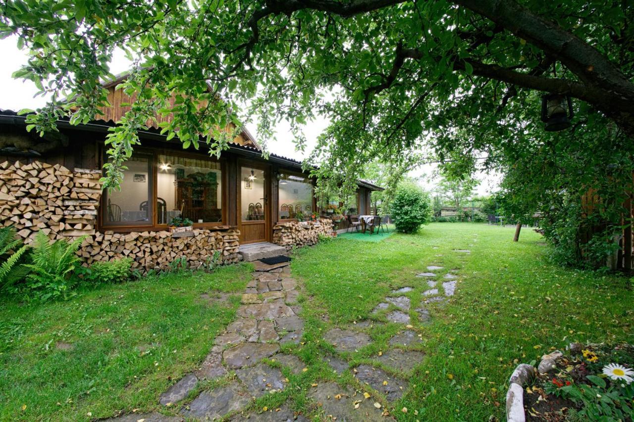 Pensiunea Casa Bianca - Bucovina Vama  Buitenkant foto
