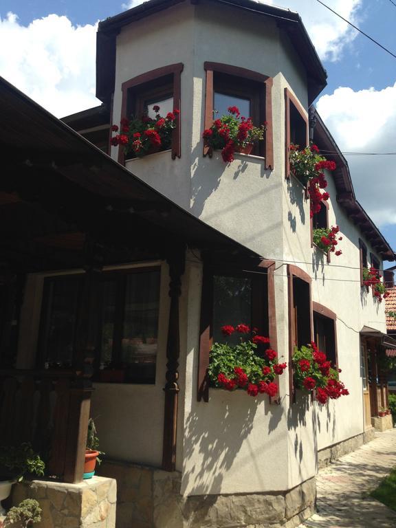 Pensiunea Casa Bianca - Bucovina Vama  Buitenkant foto