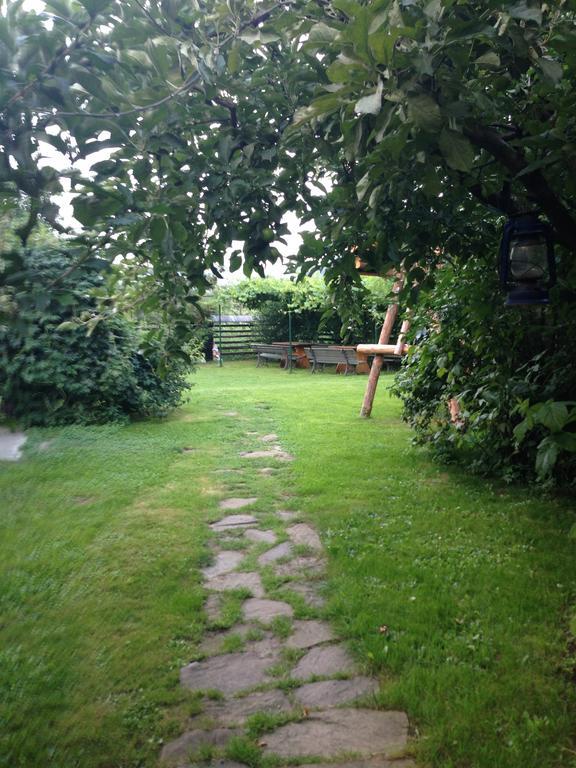 Pensiunea Casa Bianca - Bucovina Vama  Buitenkant foto