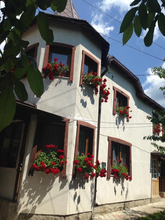 Pensiunea Casa Bianca - Bucovina Vama  Buitenkant foto