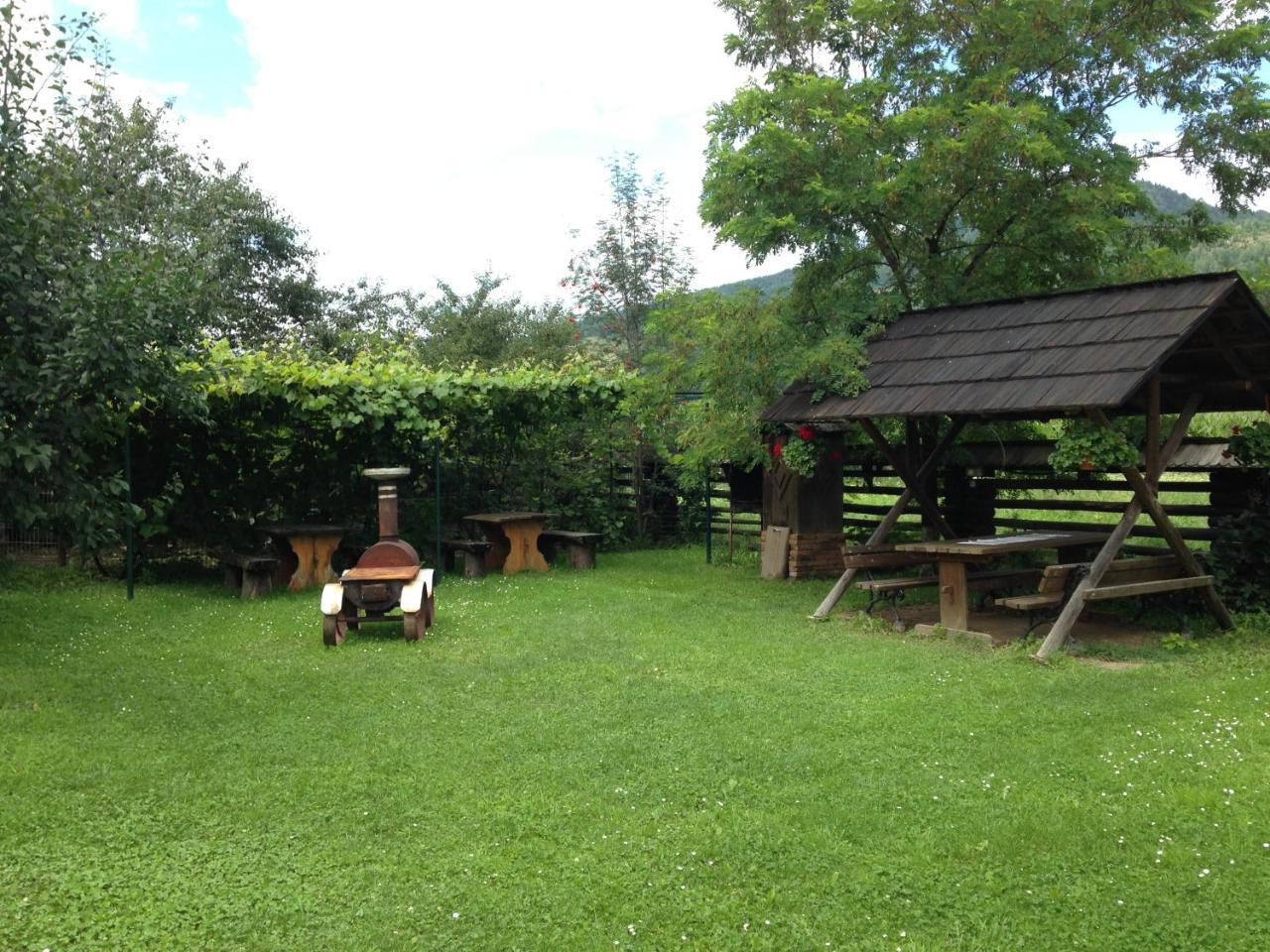 Pensiunea Casa Bianca - Bucovina Vama  Buitenkant foto